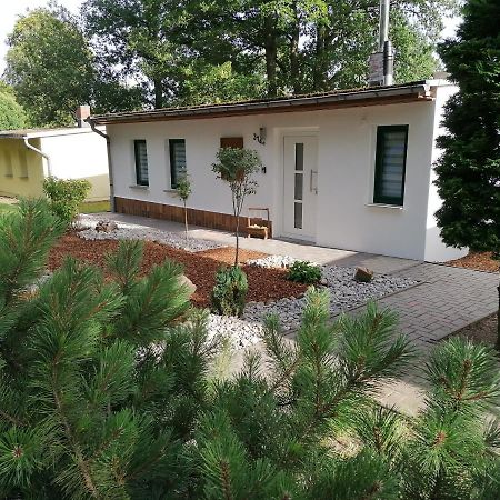Ferienhaus Regina Neudorf  Zewnętrze zdjęcie